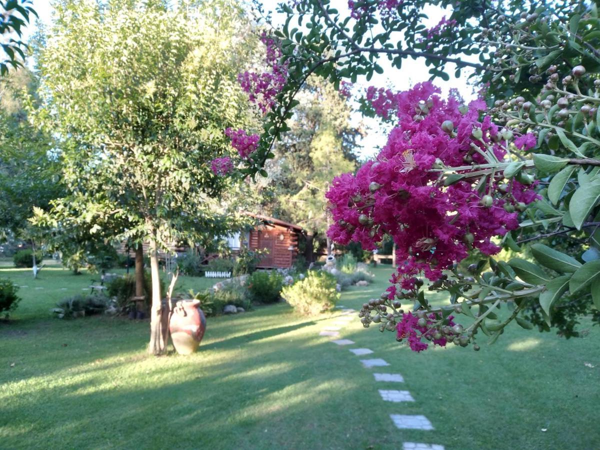 Pualy Resort & Spa Belén de Escobar Kültér fotó
